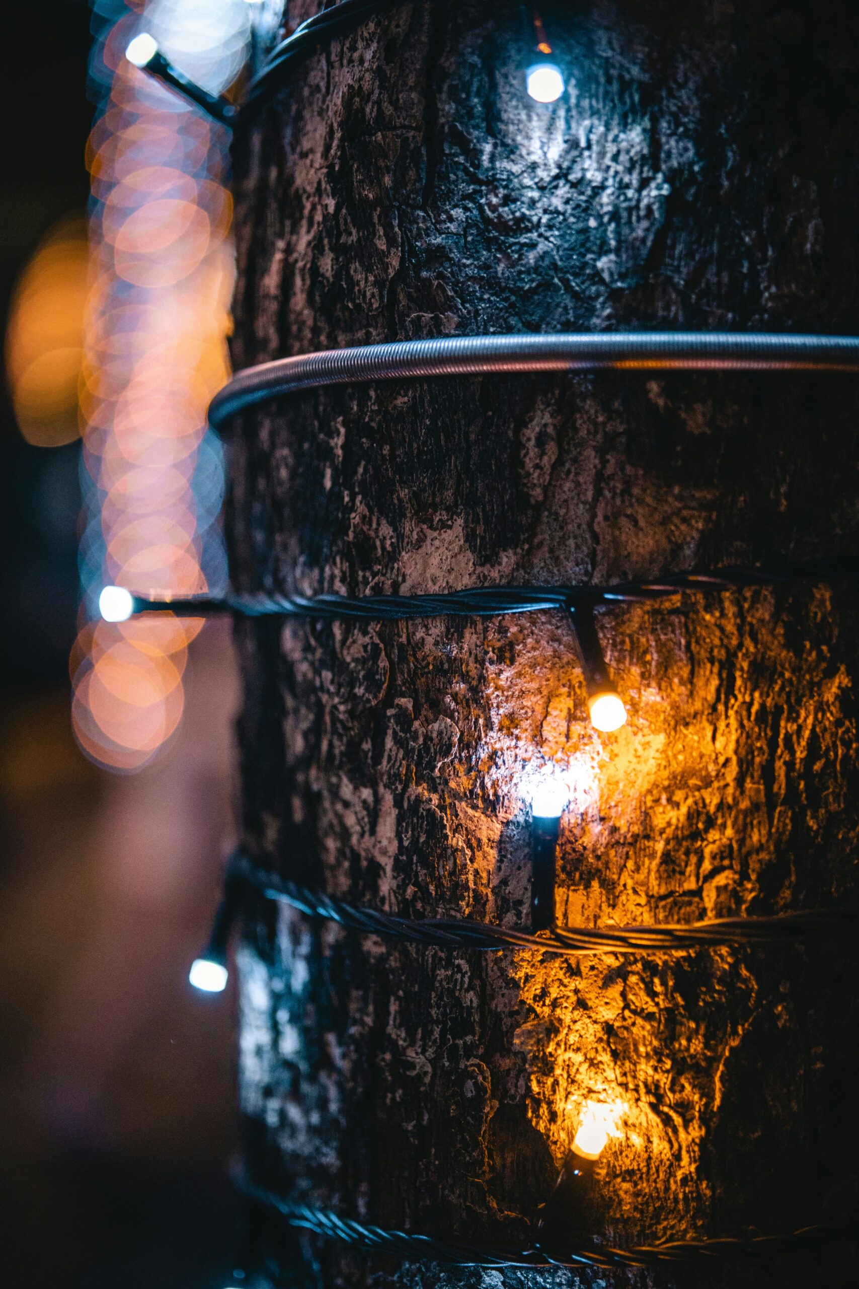 kevin-wang-dNJiErYzTcg-unsplash